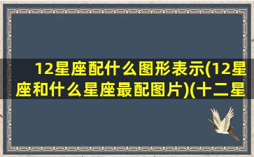 12星座配什么图形表示(12星座和什么星座最配图片)(十二星座搭配什么星座)