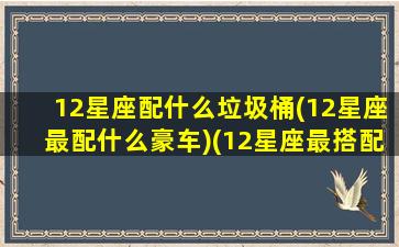 12星座配什么垃圾桶(12星座最配什么豪车)(12星座最搭配什么星座)