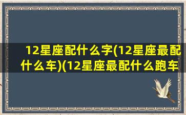 12星座配什么字(12星座最配什么车)(12星座最配什么跑车)