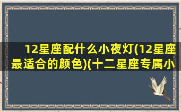 12星座配什么小夜灯(12星座最适合的颜色)(十二星座专属小夜灯)