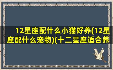 12星座配什么小猫好养(12星座配什么宠物)(十二星座适合养的宠物猫)