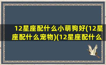 12星座配什么小萌狗好(12星座配什么宠物)(12星座配什么明星男友合适)