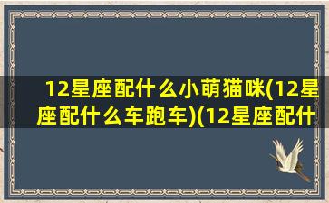 12星座配什么小萌猫咪(12星座配什么车跑车)(12星座配什么宠物)