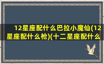 12星座配什么巴拉小魔仙(12星座配什么枪)(十二星座配什么神兽)