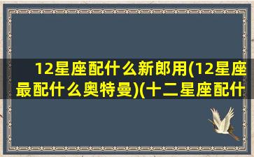 12星座配什么新郎用(12星座最配什么奥特曼)(十二星座配什么奥特曼)