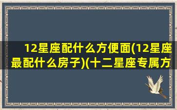 12星座配什么方便面(12星座最配什么房子)(十二星座专属方便面)