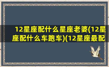 12星座配什么星座老婆(12星座配什么车跑车)(12星座最配什么跑车)