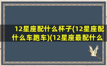 12星座配什么杯子(12星座配什么车跑车)(12星座最配什么跑车)