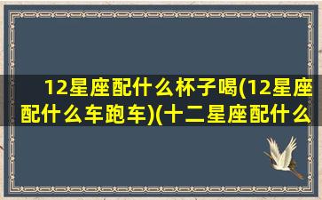 12星座配什么杯子喝(12星座配什么车跑车)(十二星座配什么车什么颜色)