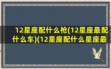 12星座配什么枪(12星座最配什么车)(12星座配什么星座最好)