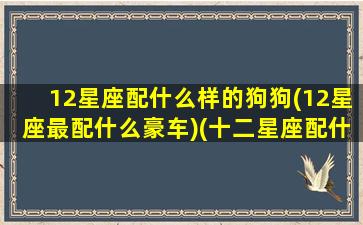 12星座配什么样的狗狗(12星座最配什么豪车)(十二星座配什么车什么颜色)