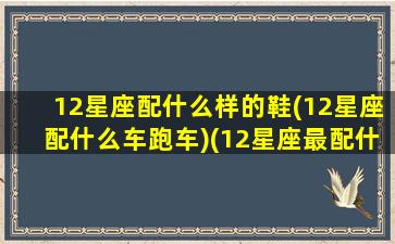 12星座配什么样的鞋(12星座配什么车跑车)(12星座最配什么车)