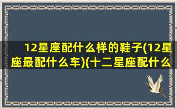 12星座配什么样的鞋子(12星座最配什么车)(十二星座配什么车什么颜色)