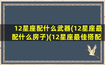 12星座配什么武器(12星座最配什么房子)(12星座最佳搭配)