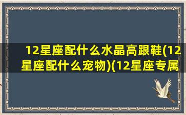 12星座配什么水晶高跟鞋(12星座配什么宠物)(12星座专属水晶高跟鞋)