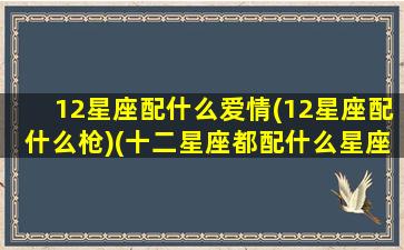 12星座配什么爱情(12星座配什么枪)(十二星座都配什么星座)