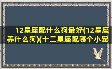 12星座配什么狗最好(12星座养什么狗)(十二星座配哪个小宠物)