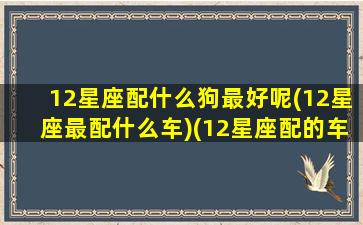 12星座配什么狗最好呢(12星座最配什么车)(12星座配的车)