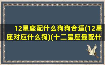 12星座配什么狗狗合适(12星座对应什么狗)(十二星座最配什么宠物)