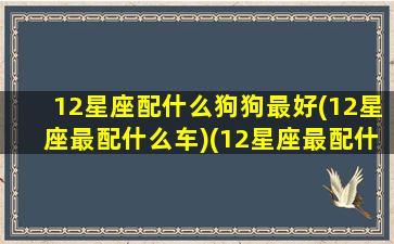 12星座配什么狗狗最好(12星座最配什么车)(12星座最配什么跑车)