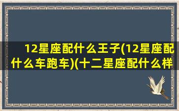 12星座配什么王子(12星座配什么车跑车)(十二星座配什么样的男生)