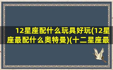 12星座配什么玩具好玩(12星座最配什么奥特曼)(十二星座最配的奥特曼特曼)