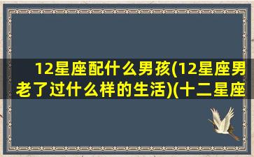 12星座配什么男孩(12星座男老了过什么样的生活)(十二星座男配对十二星座女)