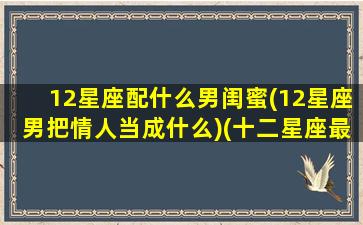 12星座配什么男闺蜜(12星座男把情人当成什么)(十二星座最佳男闺蜜组合)