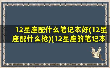 12星座配什么笔记本好(12星座配什么枪)(12星座的笔记本)