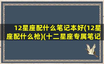 12星座配什么笔记本好(12星座配什么枪)(十二星座专属笔记本的盒饭)