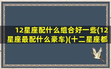 12星座配什么组合好一些(12星座最配什么豪车)(十二星座都配什么星座)