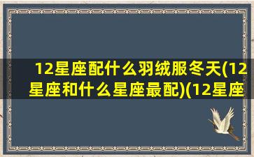 12星座配什么羽绒服冬天(12星座和什么星座最配)(12星座适合穿什么衣服)