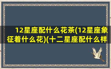 12星座配什么花茶(12星座象征着什么花)(十二星座配什么样的男生)