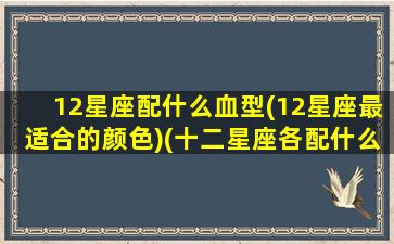 12星座配什么血型(12星座最适合的颜色)(十二星座各配什么颜色)