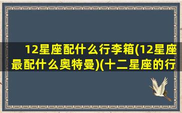 12星座配什么行李箱(12星座最配什么奥特曼)(十二星座的行李箱)