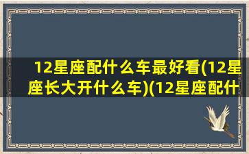 12星座配什么车最好看(12星座长大开什么车)(12星座配什么动物)