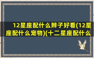 12星座配什么辫子好看(12星座配什么宠物)(十二星座配什么颜色好看)