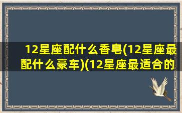 12星座配什么香皂(12星座最配什么豪车)(12星座最适合的颜色)