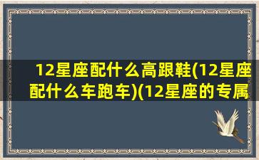 12星座配什么高跟鞋(12星座配什么车跑车)(12星座的专属高跟鞋与裙子)