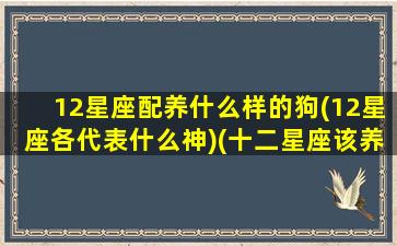 12星座配养什么样的狗(12星座各代表什么神)(十二星座该养什么狗)