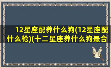 12星座配养什么狗(12星座配什么枪)(十二星座养什么狗最合适)