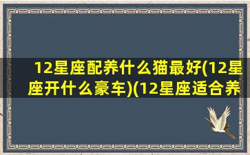 12星座配养什么猫最好(12星座开什么豪车)(12星座适合养什么猫咪)