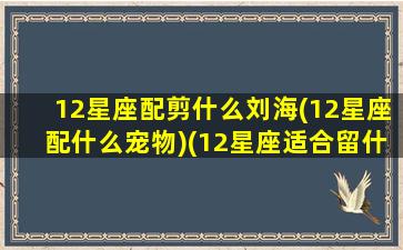 12星座配剪什么刘海(12星座配什么宠物)(12星座适合留什么发型)