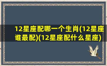 12星座配哪一个生肖(12星座谁最配)(12星座配什么星座)