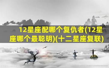 12星座配哪个复仇者(12星座哪个最聪明)(十二星座复联)