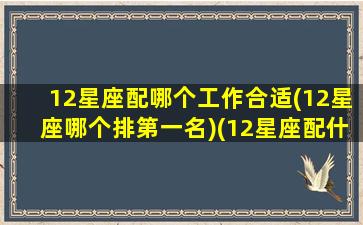 12星座配哪个工作合适(12星座哪个排第一名)(12星座配什么星座最好)