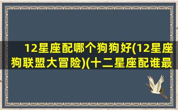 12星座配哪个狗狗好(12星座狗联盟大冒险)(十二星座配谁最好)