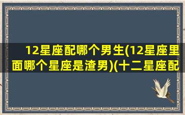 12星座配哪个男生(12星座里面哪个星座是渣男)(十二星座配哪个男明星)