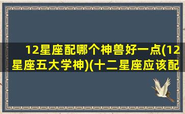 12星座配哪个神兽好一点(12星座五大学神)(十二星座应该配什么神)