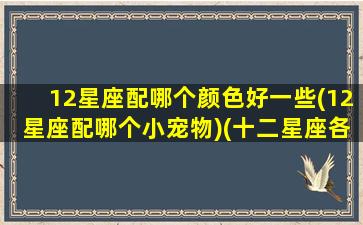 12星座配哪个颜色好一些(12星座配哪个小宠物)(十二星座各配什么颜色)